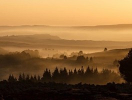 香山怎么走，香山怎么走坐地铁