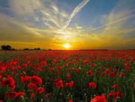 海岛旅游景点，海岛旅游景点排名