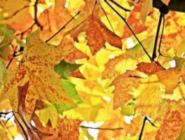 城市与旅游，城市旅游收入排名