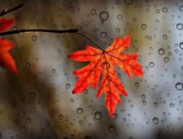 旅游英语对话，旅游英语对话短文