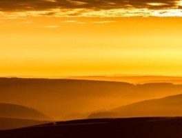 官园桥怎么走，官园桥怎么走公交车