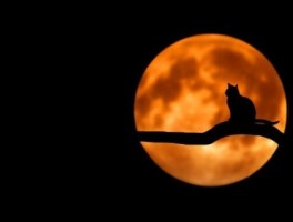 到南京京科医院路线，南京的京科医院在哪里