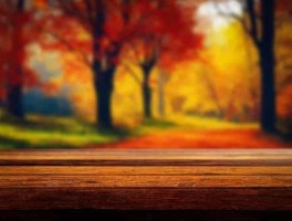 重庆美食旅游线路设计方案(重庆一日游必去的地方)