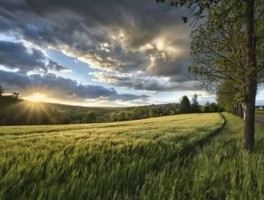 物流路线转让，物流点转让