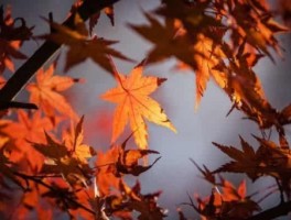 永定门到六里桥怎么走，永定门到六里桥怎么走最方便