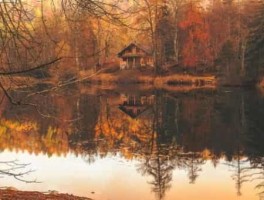 富阳旅游美食攻略(富阳区美食)