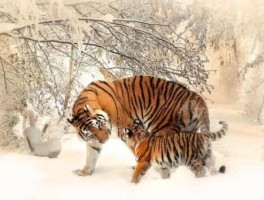 故宫路线图，北京故宫图解全图