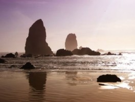 西安旅游美食攻略视频推荐大全(西安旅游美食全攻略)