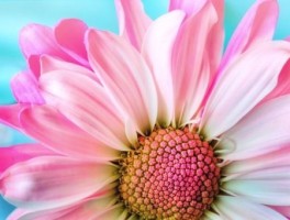 蓬莱到威海怎么走，蓬莱到威海车票多少钱