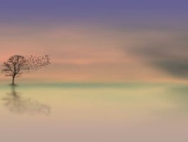 目的地旅游，目的地旅游网