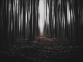 秋季绍兴旅游景点攻略，绍兴旅游必去十大景点推荐