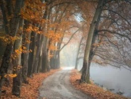 g2811路线，g281路线图