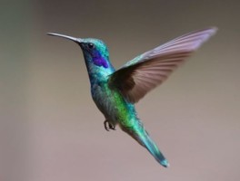 珠海公交路线查询，珠海公交路线查询系统