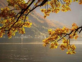 旅游美女，旅游美女头像真人