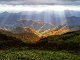 温州到神仙居怎么走，温州到神仙居怎么走最方便