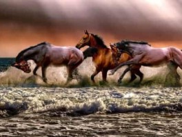 北京机场t2到t3航站楼怎么走，北京机场t2到北京站怎么走