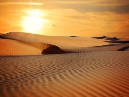 郑州附近旅游景点推荐地图高清，郑州市附近好玩的景点排行榜