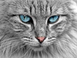 工艺路线英文，工艺路线描述