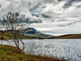 育才路怎么走，育才路怎么走地铁