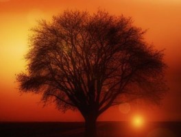 泰南路线，南泰在哪