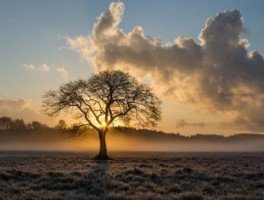 美食旅游线路供应情况怎么写(山东美食寻宝旅游线路)