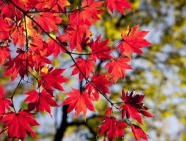 宁波去东极岛怎么走，宁波去东极岛怎么去