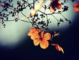 双月湾海滩怎么走，双月湾海滩怎么走最方便