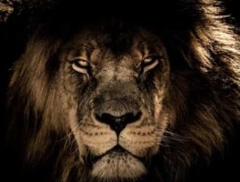 旅游淡季，云南旅游淡季