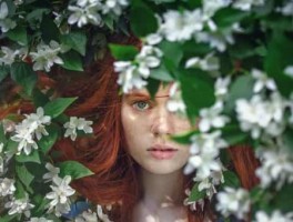 太白旅游，太白旅游景点推荐