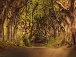 郑州904路线，郑州904公交车路线图