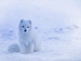 2021盘点西安旅游必吃美食(2021西安旅游必去景点推荐西安旅游闭坑指南)