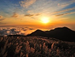 仙女山旅游攻略，仙女山旅游攻略一日游
