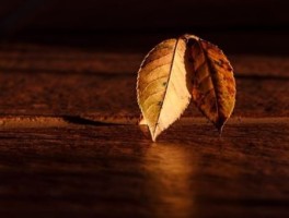 长沙黄花机场怎么走，长沙黄花机场怎么坐车去高铁站