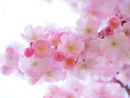 郑州4月旅游景点推荐表最新图片，郑州市好玩的地方推荐表