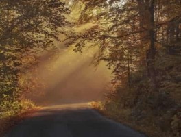 大兴怎么走，天之痕大兴怎么走