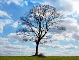 68路公交车路线图，687路公交车路线图