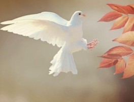 云南美食旅游线路设计图(云南自助游的具体路线以及美食和住宿)