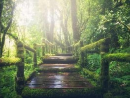 郑州秋天旅游景点推荐，郑州秋天适合去哪里玩