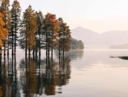 绍兴鉴湖旅游景点攻略图片，绍兴鉴湖游步道在哪里