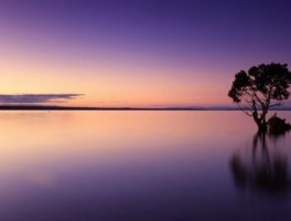 夕阳红旅游团，夕阳红旅游团怎么联系