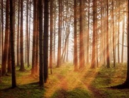 国内5000元以上美食旅游线路(为什么现在有一些人拿着2000块钱工资)