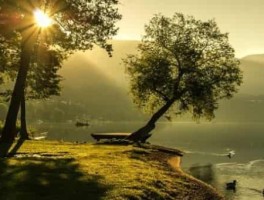 上海到上海南站怎么走，上海到上海南站火车时刻表