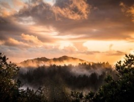 泾阳龙泉山庄怎么走，泾阳龙泉山庄营业时间