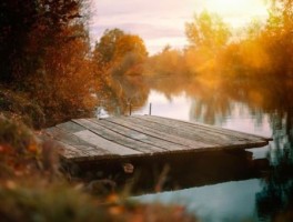 泰顺美食攻略旅游线路(泰顺有什么好吃的美食)