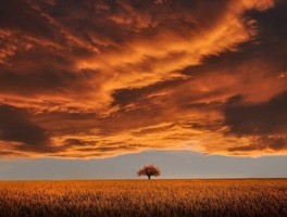 上海到苏州东山怎么走，上海至苏州东山长途汽车站时刻表查询