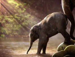 重庆旅游点，重庆旅游点排名