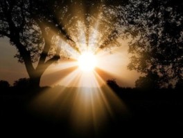 青海旅游攻略美食(青海的旅游景点有哪些青海特色美食介绍)