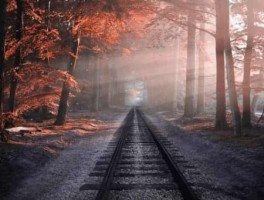 洛阳公交28路路线，洛阳公交28路公交最新路线