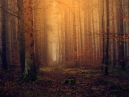 郑州到雪花洞怎么走，从郑州到冰雪世界怎样走