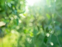 广东旅游景区资讯网最新消息(广东自驾游景点排行)